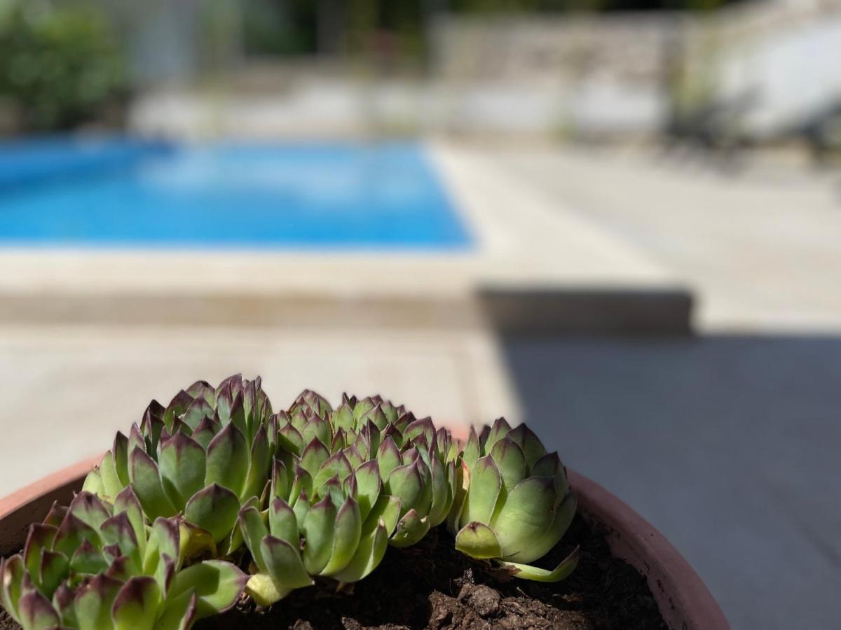 Apartments Maja Dramalj Dış mekan fotoğraf